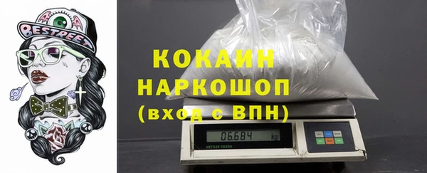 индика Алзамай